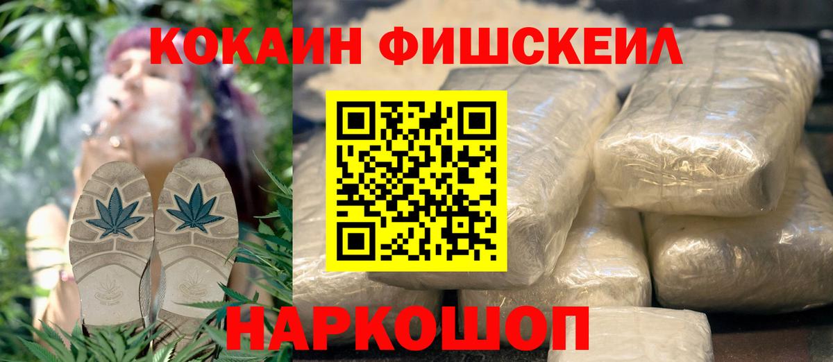 где найти   Cocaine Эквадор  Вход с VPN  Камышлов  Кокаин 98% 