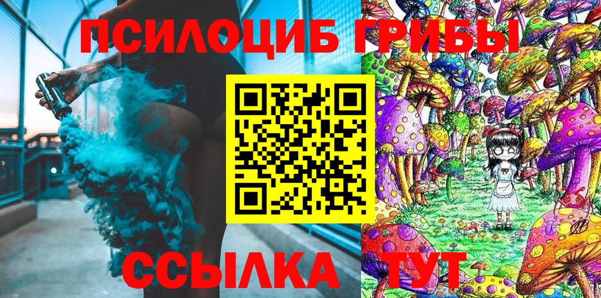 Камышлов  Галлюциногенные грибы MAGIC MUSHROOMS  Вход с VPN 